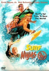 Ниндзя серферы / Surf Ninjas