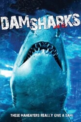 Акульи плотины / Dam Sharks