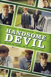 Чёртов красавчик / Handsome Devil