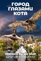 Город глазами кота / Wild Amsterdam