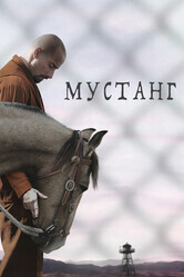 Мустанг / The Mustang