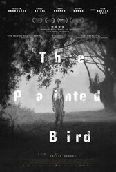 Раскрашенная птица / The Painted Bird