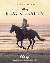 Чёрный Красавец / Black Beauty