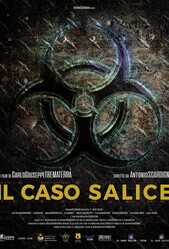 Дело Саличе / Il caso Salice