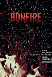 У костра / Bonfire