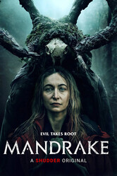 Мандрагора / Mandrake