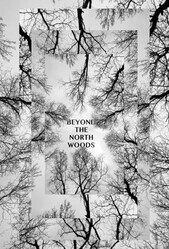 За Северным лесом / Beyond the North Woods