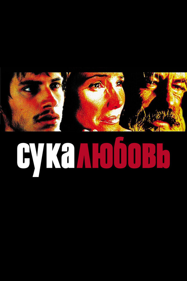 Сука-любовь / Amores perros