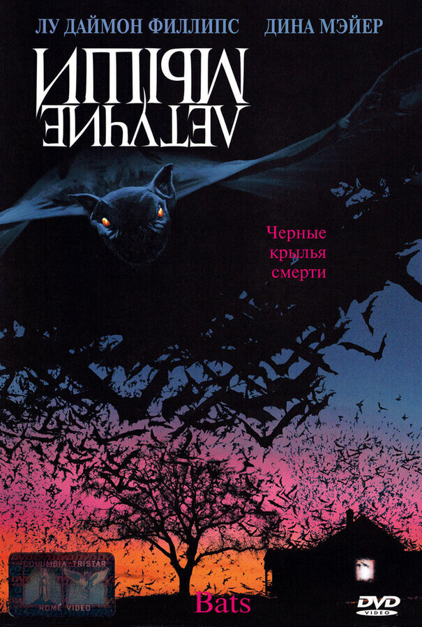 Летучие мыши / Bats