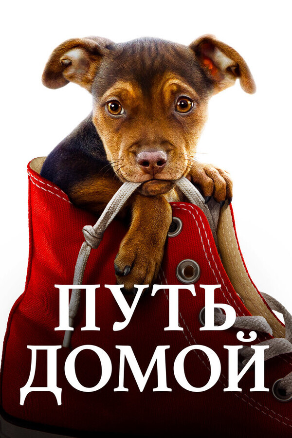 Путь домой / A Dog's Way Home