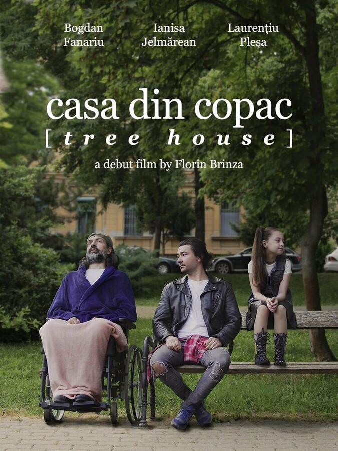 Домик на дереве / Casa din copac