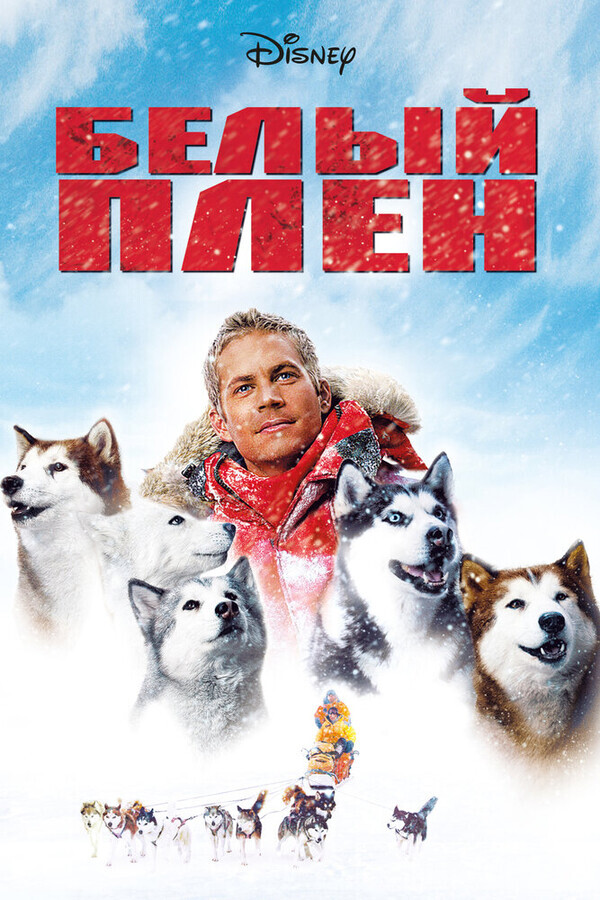 Белый плен / Eight Below