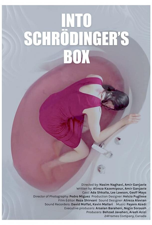 Убийство Шрёдингера / Into Schrodinger's Box