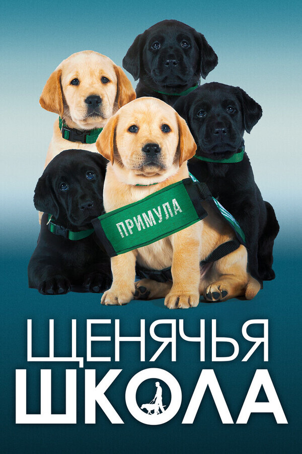 Щенячья школа / Pick of the Litter