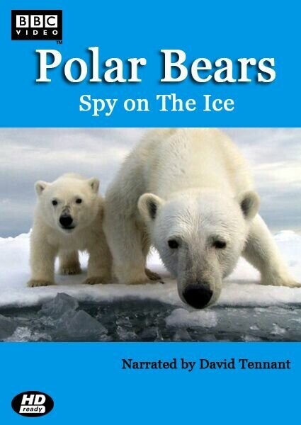 Белый медведь: Шпион во льдах / Polar Bears: Spy on the Ice