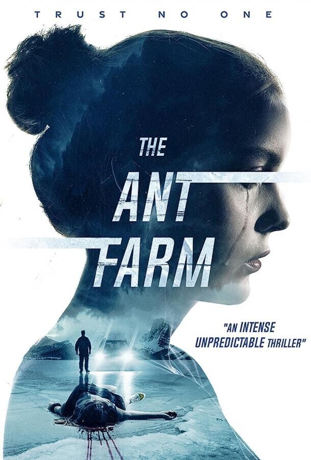 Муравьиная ферма / The Ant Farm